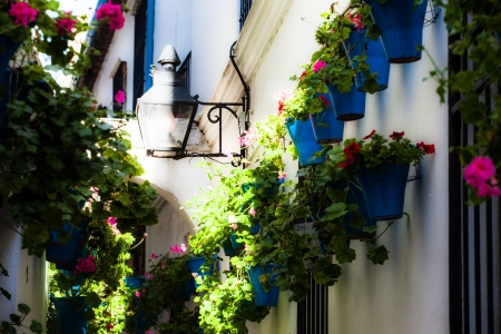 Narrow, cobbled streets and pretty houses of Spanish Pueblo at Castillo de la Frontera in Andalucia southern Spain の写真素材
