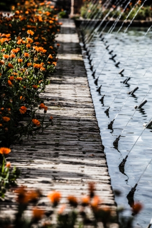 Gardens at the Alcazar de los Reyes Cristianos in Cordoba, Spainの写真素材