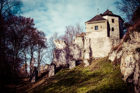 Castle ruins on a hill top in Ojcow, Poland のeditorial素材