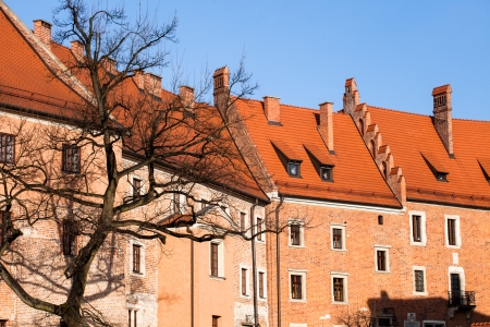 Wawel Castle square on sunny summer day in Krakow, Poland のeditorial素材