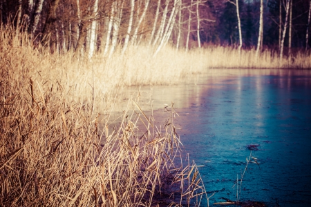 Typical autumn in Poland. の写真素材