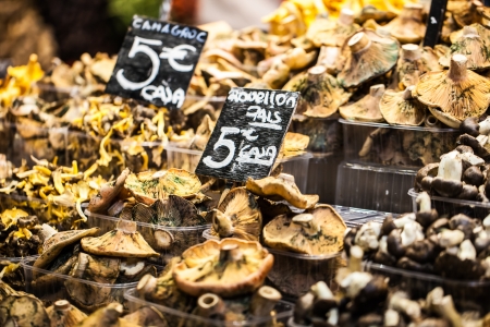 Mushrooms at a stand in the Boqueria Market, in Barcelona, Spain.の写真素材