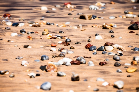 Exiting Anjuna beach panorama on low tide with white wet sand and green coconut palms, Goa, India の写真素材