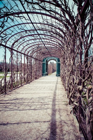 Walkway through English country garden の写真素材