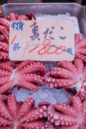 japanese seafood octopus tako in tsukiji market の写真素材