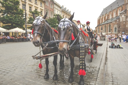 Horses and carts on the market in Krakow, Poland.のeditorial素材