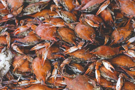 Fresh crab at American fish market の写真素材