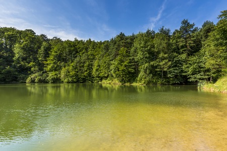 Summer landscape at the lake and forest with mirror reflectionの写真素材