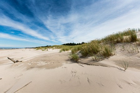 Moving dunes park near Baltic Sea in Leba, Poland の写真素材