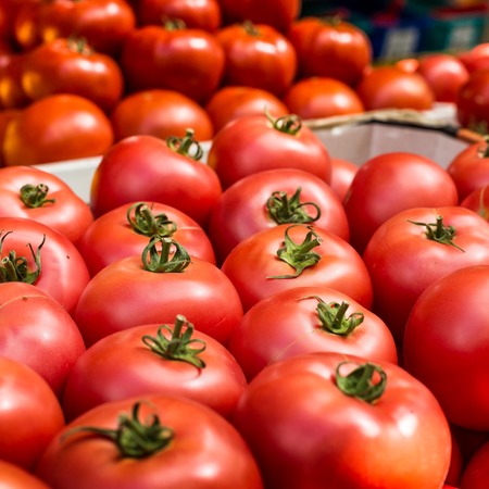 Fresh tomatoes in a market stall in Poland.の写真素材
