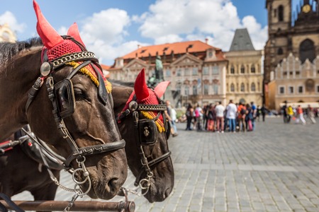 Horse Carriage waiting for tourists at the Old Square in Prague.の写真素材