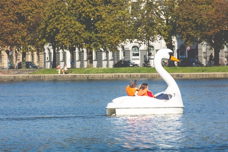 White swan in Sortedams Soe in Copenhagen, Denmark.の写真素材