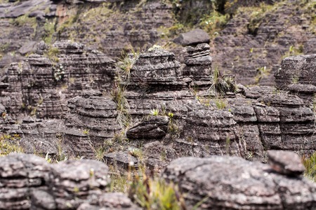 Bizarre ancient rocks of the plateau Roraima tepui - Venezuela, Latin Americaの写真素材