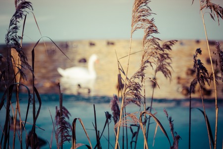 Winter time landscape in Polandの写真素材