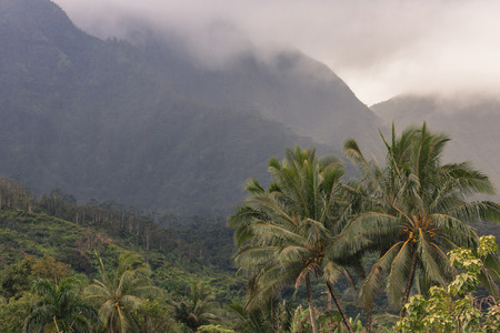 View overlooking Hanalei on Kauai, Hawaiiの写真素材