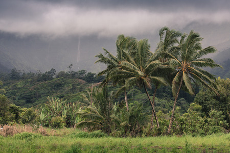 View overlooking Hanalei on Kauai, Hawaiiの写真素材