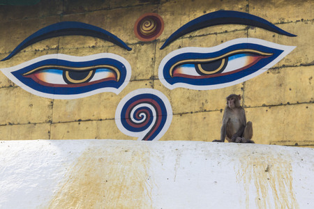 Stupa in Swayambhunath Monkey temple in Kathmandu, Nepal.