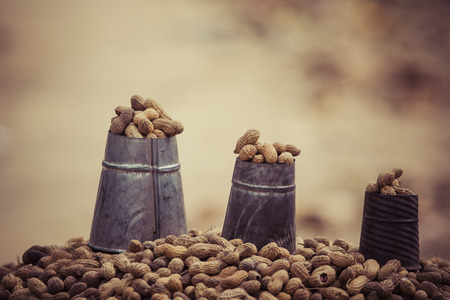 nuts on the local marketの写真素材