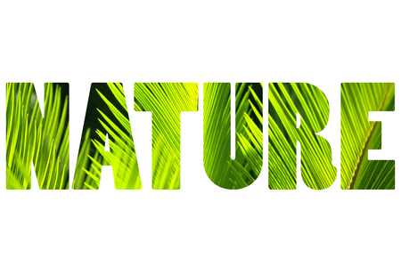 Word NATURE over palm leaves.の写真素材