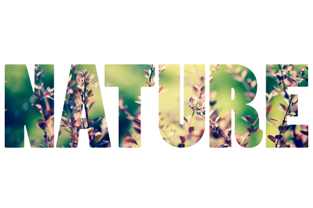Word NATURE over green leaves.の写真素材