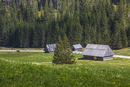 Wooden hut in Chocholowska valley, Tatra Mountains, Polandの写真素材