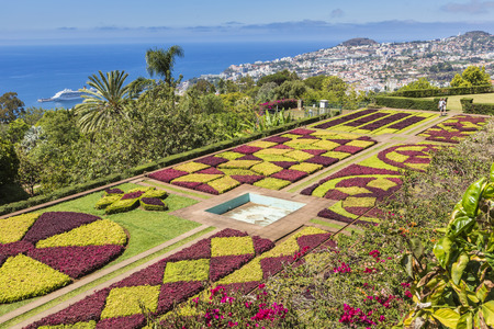 Famous Tropical Botanical Gardens in Funchal town, Madeira island, Portugalのeditorial素材
