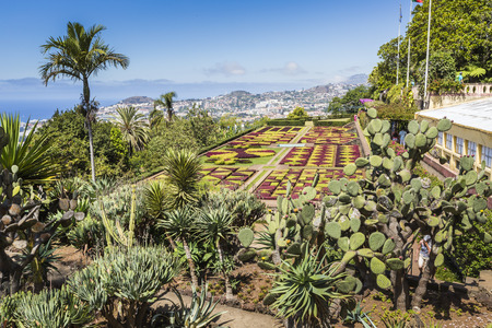 Famous Tropical Botanical Gardens in Funchal town, Madeira island, Portugalのeditorial素材