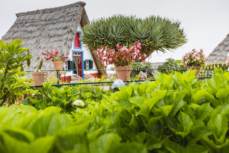 Traditional rural house in Santana Madeira, Portugal.のeditorial素材