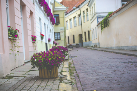 Flowers in Vilnius old town city in Lithuania.の写真素材