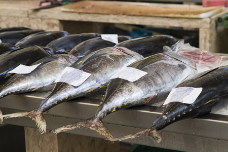 Fish market in Funchal, Madeira