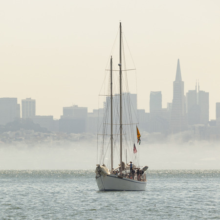 San Francisco downtown cityscape, California, USAの写真素材