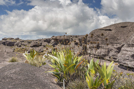 Bizarre ancient rocks of the plateau Roraima tepui - Venezuela, Latin Americaの写真素材