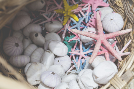Starfish and seashells souvenirs for saleの写真素材
