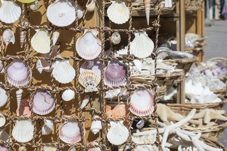 Starfish and seashells souvenirs for sale