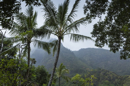 Iao Valley State Park on Maui Hawaiiの写真素材