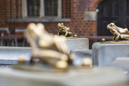 Fountain with golden lucky frog - the symbol of Torun city (Poland)