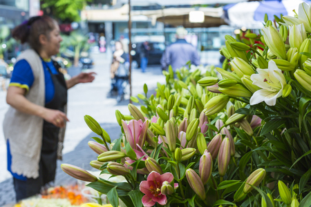 Market day with lots of spring flowers on sale. Pansies in different colors on display. Focus on flower in front.の写真素材