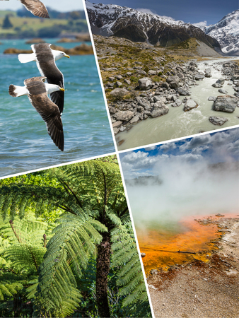 Collage of New Zealand images - travel background (my photos)