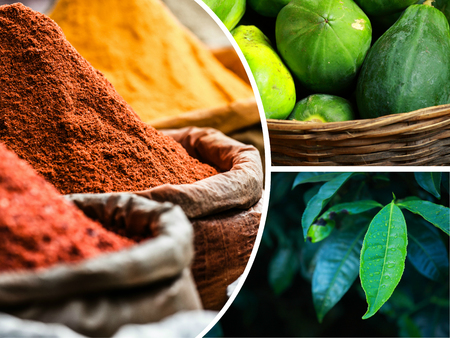 Collage of India images - travel background (my photos)の写真素材