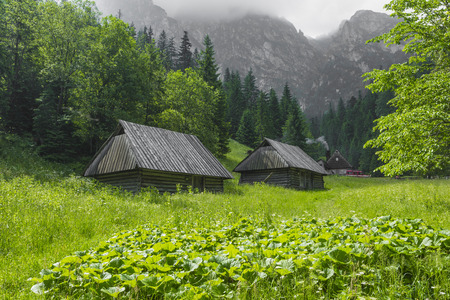 TATRA, POLAND - JUNE  22: Mountain shelter house in Tatra Mountains, Strazyska Valley, Poland on June 23, 2016.のeditorial素材