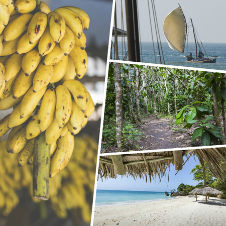 Collage of Zanzibar images - travel background (my photos)の写真素材