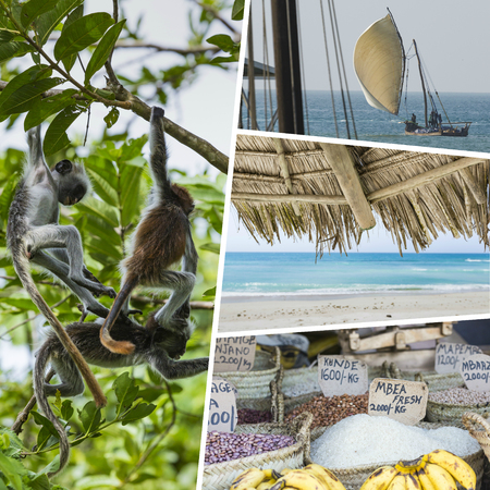 Collage of Zanzibar images - travel background (my photos)の写真素材