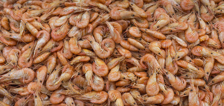 Fresh shrimp at at outdoor seafood market