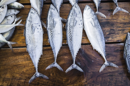 Fresh fish at local Sri Lanka market.