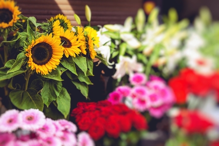 Flower market in Riga, Latvia
