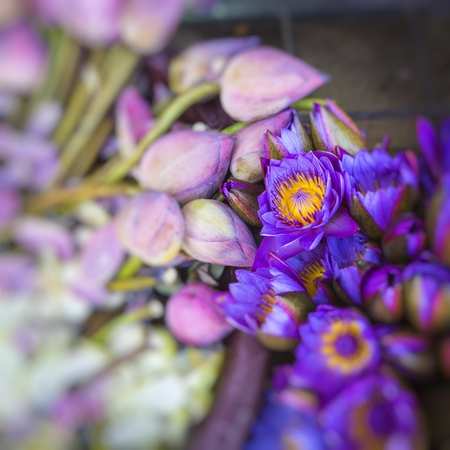Flowers sold to be used as offerings in front of the Temple of the Tooth Relic in Kandy (Sri Lanka).の写真素材