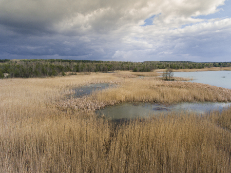 Lake and forest during spring time. View from above.Dabrowa Gornicza, Poland.の写真素材