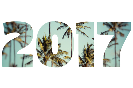 Happy New Year 2017の写真素材