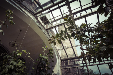 MOSZNA, POLAND - JUNE 04, 2017: The Moszna Castle is a historic palace located in a small village in Moszna is one of the best known monuments in Upper Silesia.のeditorial素材