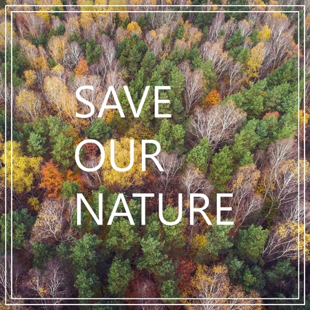 Save our Planet. Aerial view of the forrest with different color trees. Taken during the Fall Season in Poland.の写真素材